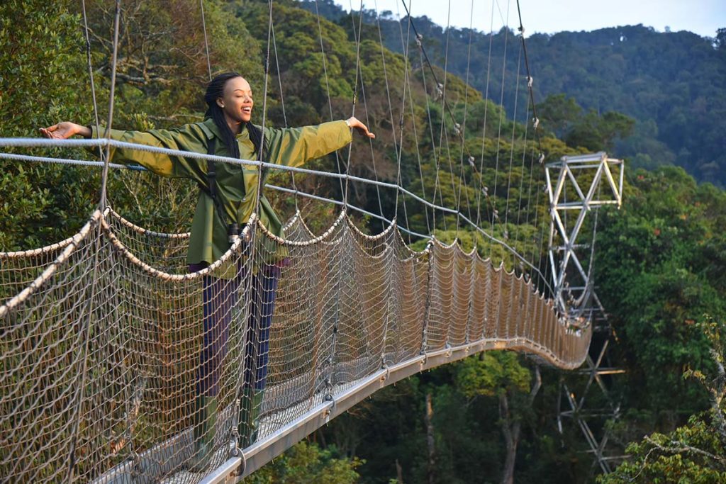Canopy walk in Rwanda