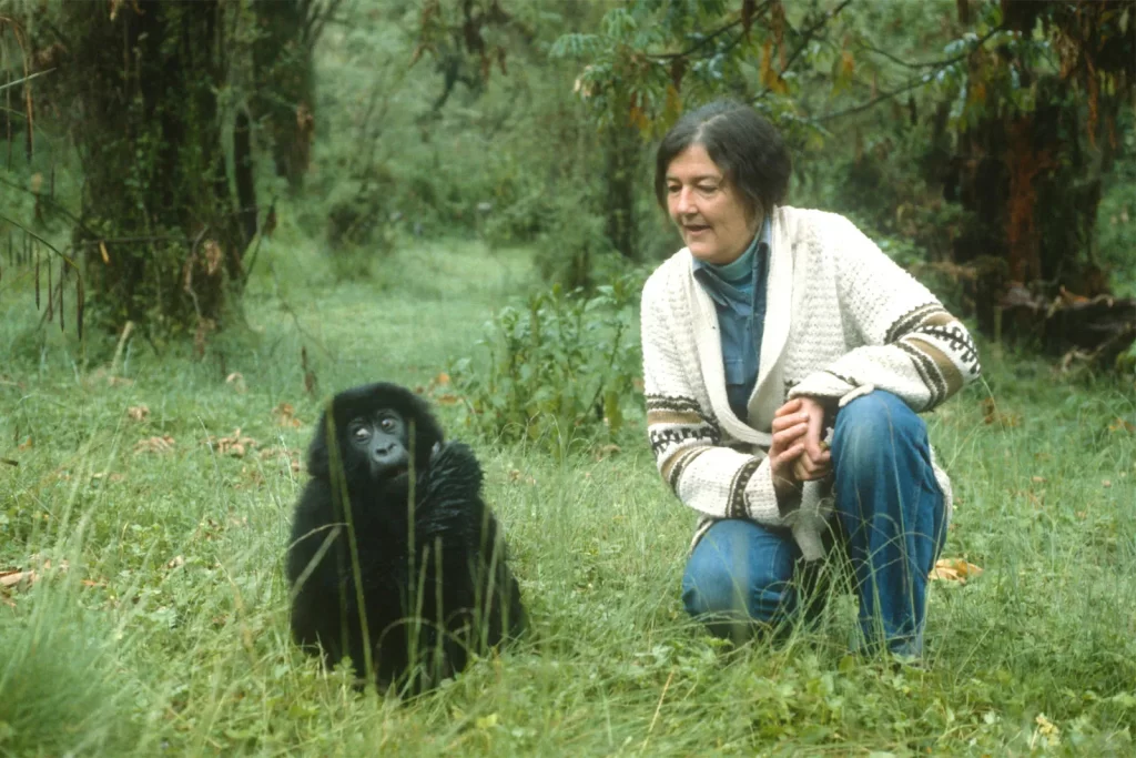 Dian Fossey. v