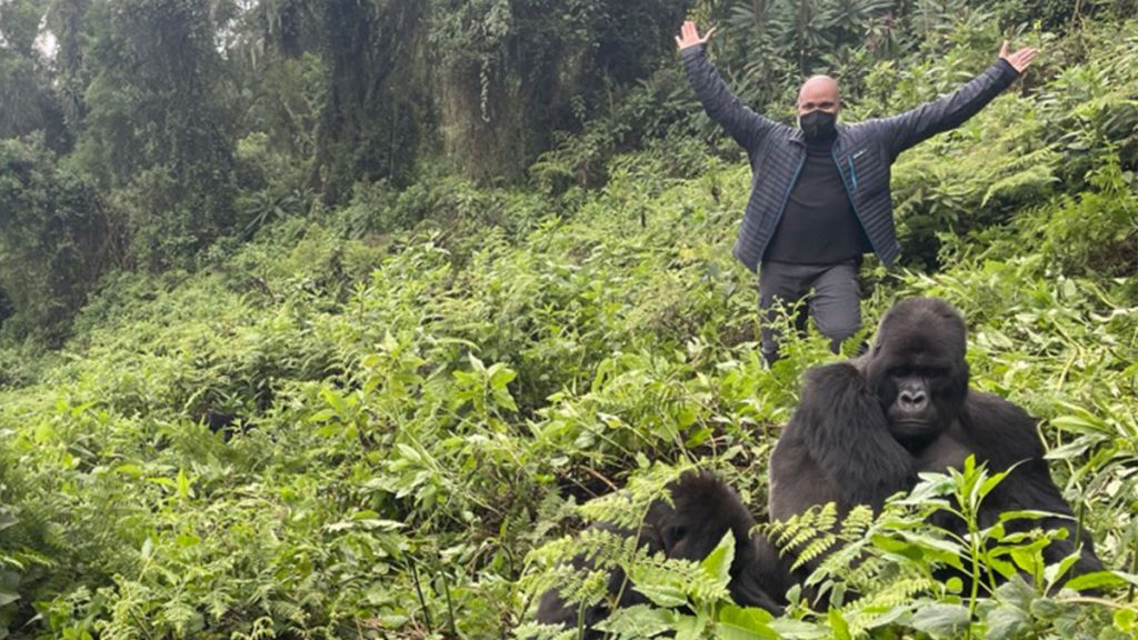 Rwanda gorilla trekking, gorilla trekking safaris