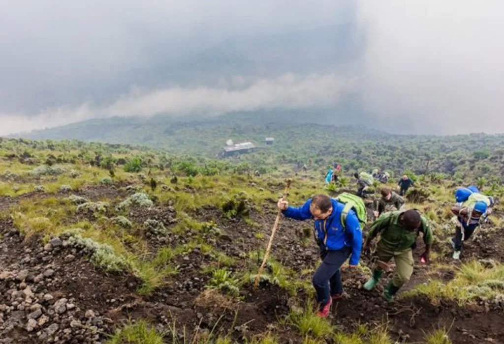 Hiking Trails in Volcanoes National Park, Rwanda