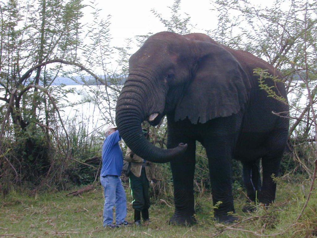 Can I see the Big Five in Akagera National Park.